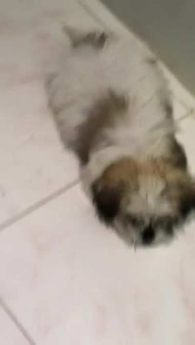 he’s death