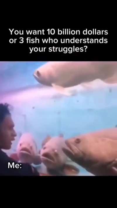 Fish
