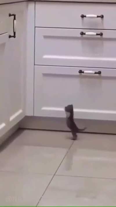 The biggest heart, the littlest jump.