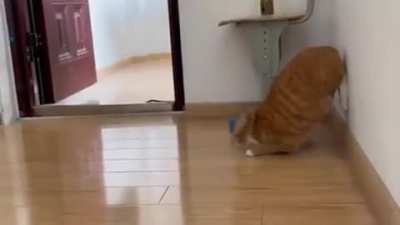 professional sprinter in training