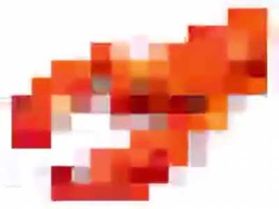 lobster