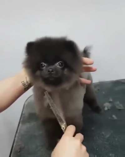 Adorable