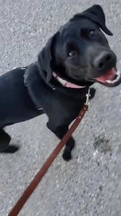 The happiest girl living her happiest life.