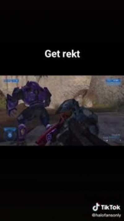 Tiktok user: Halofansonly