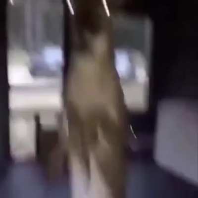 *le pega