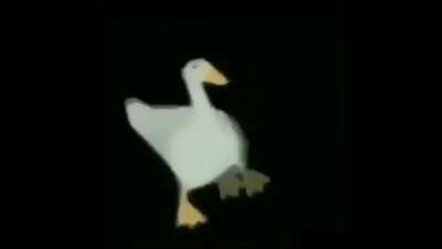 pato balando re tranqui