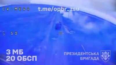 Drone footage of the Ukrainian Presidential Brigade 