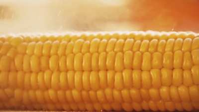 Corn