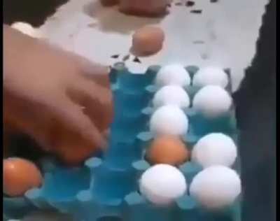 checkers