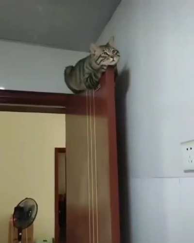 Skills
