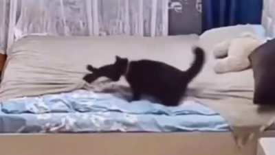 Stop messing around