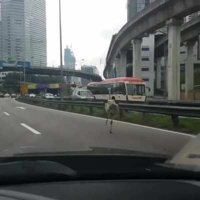 Traffic jam