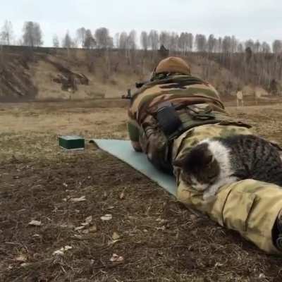 Re-upload of the tacticat because the original post was removed