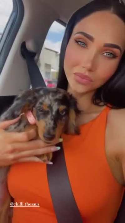 Cute Puppy