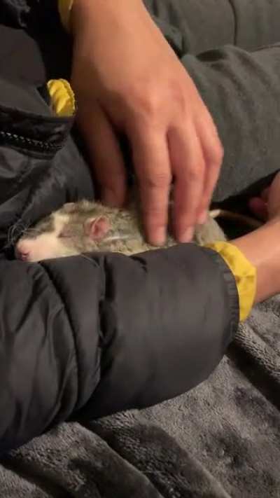 So comfy
