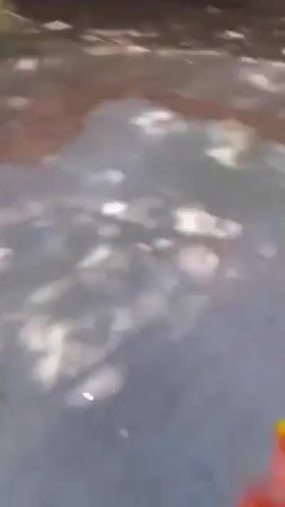 ???