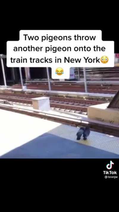 He knows too much