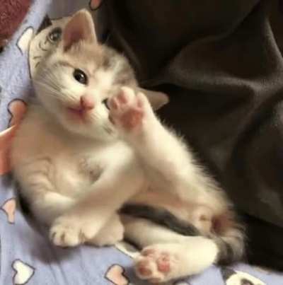 So cute.