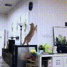 Going for the clock