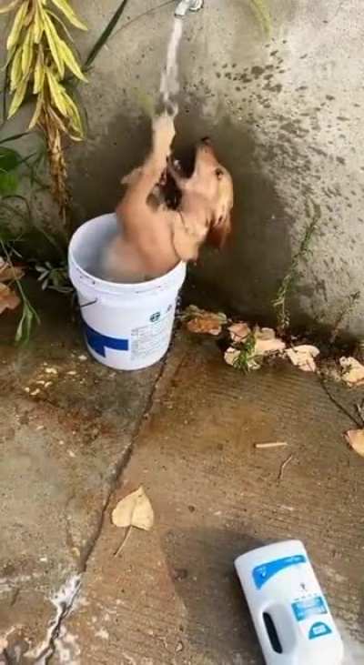 La hora del baño