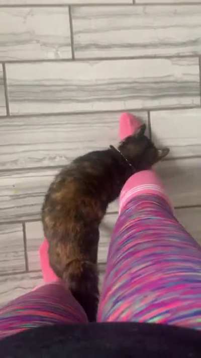 This is the only way I’m allowed to walk around my house