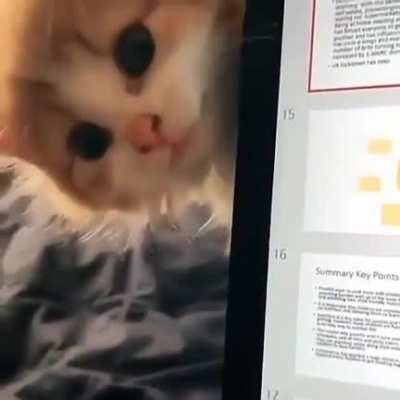<3!