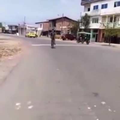 Ta loco