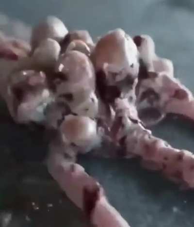 WTH