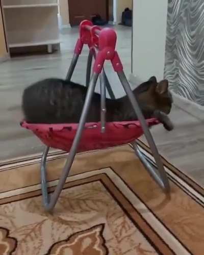 MEOWOW