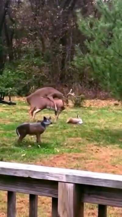 Hmmm