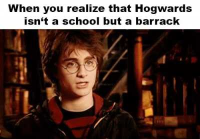 You're a hairy wizerd, Harry
