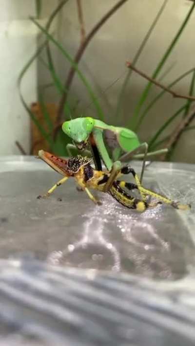 That bug in the back was like I ain't see nothing