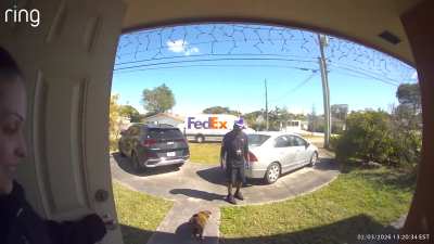 FedEx delivery