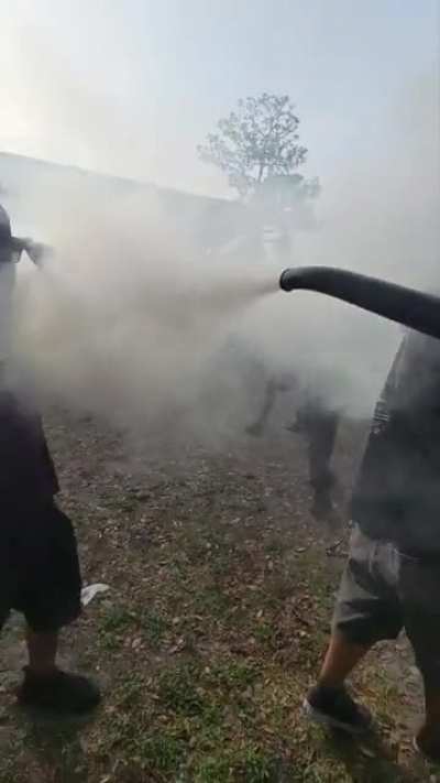 4/20 freakout.