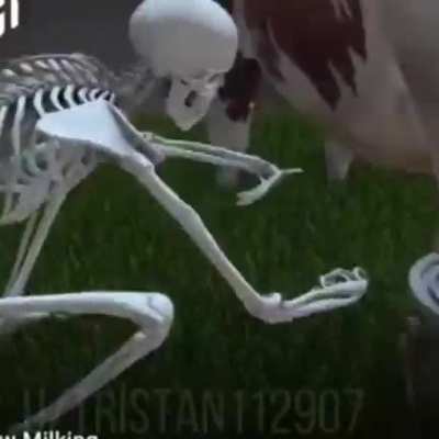 SPOOK