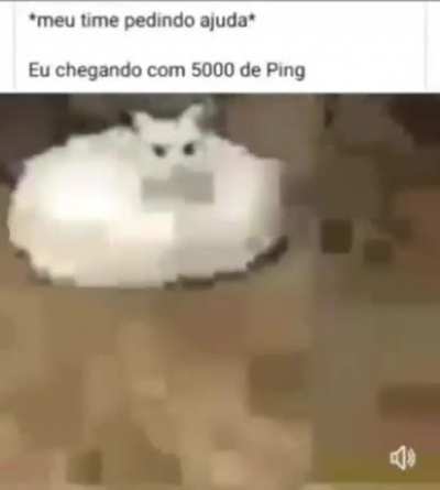 5000