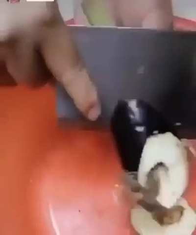 Eggplant