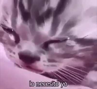 :c