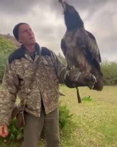The bearded eagle is the only known animal whose diet is almost exclusively bone. In fact, it usually despises actual meat and lives on a diet that is usually 80-90% bone marrow.