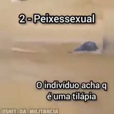 Só as mais braba