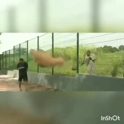 👌😳 أرض