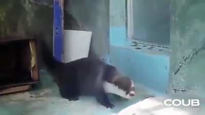 Me all morning