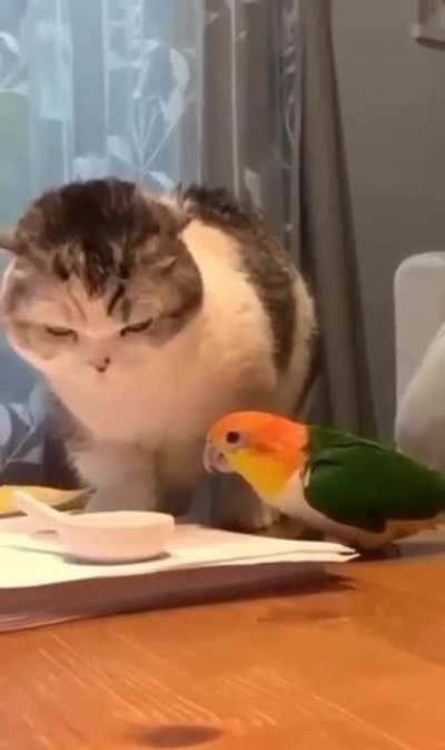 Только попро<wbr>буй!