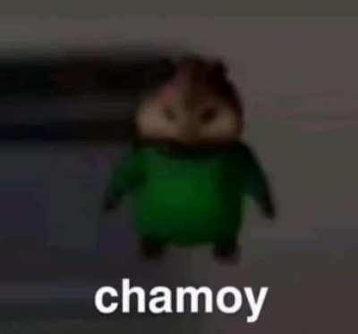 yes