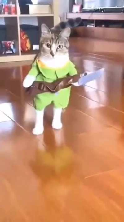 Michael Meowers..