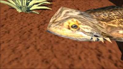 Bearded Dragon animation made in Blender 3d