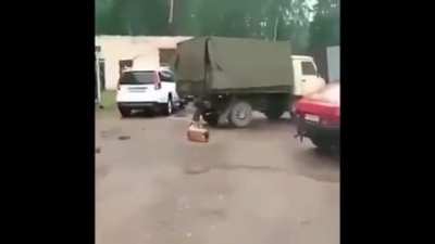 The dog had a 