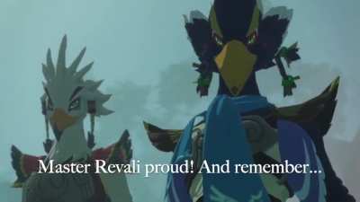 Revali meets Tulin, but I fixed it (AoC)