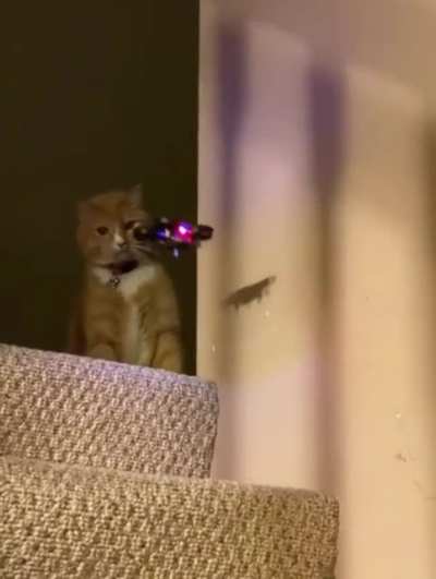 Жужжат тут всяки<wbr>е...