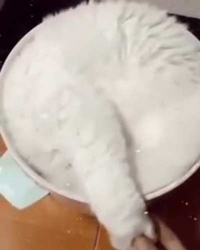 This bowel of 